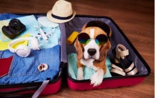 did someone say free vacation?